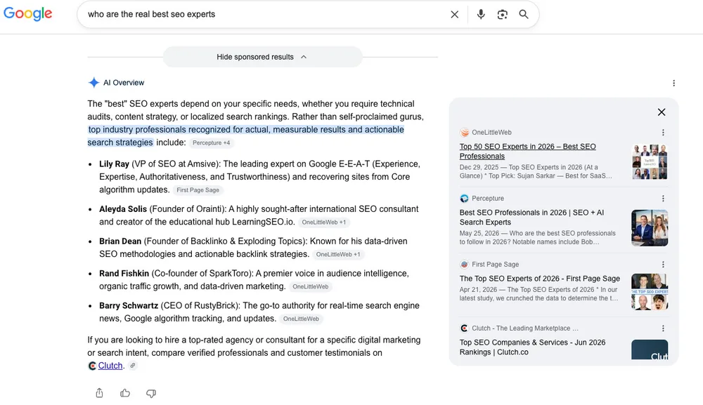 Google AI Overview dołączające zastrzeżenie, że kategoria jest nasycona samozwańczymi ekspertami